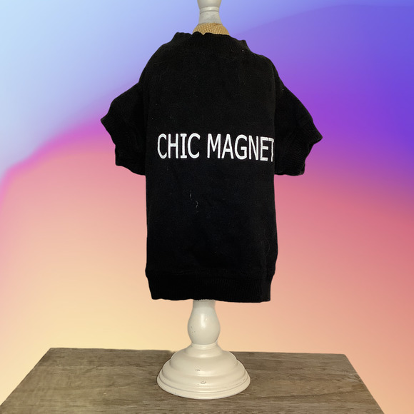 None Other - 🎈CHICK MAGNET Doggy Basic Tee Shirt